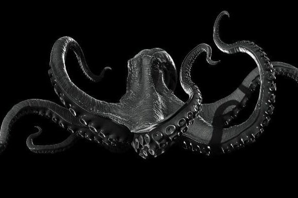 Kraken platform