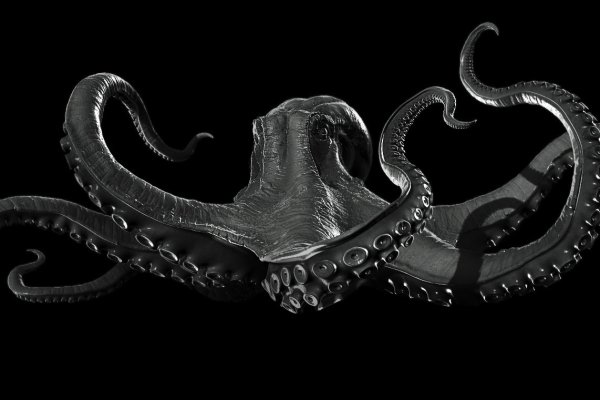 Kraken platform