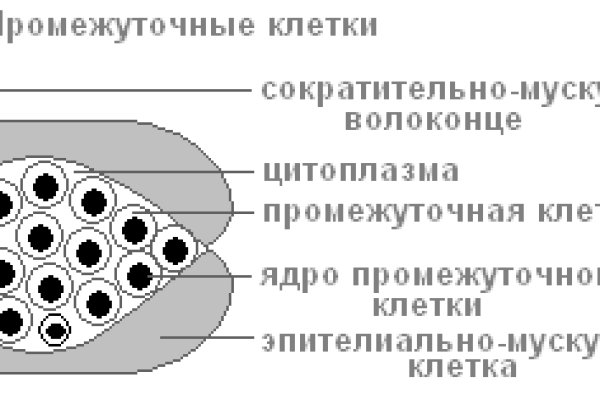 Как зайти на кракен через айфон