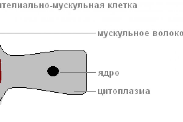 Кракен krakken15at com